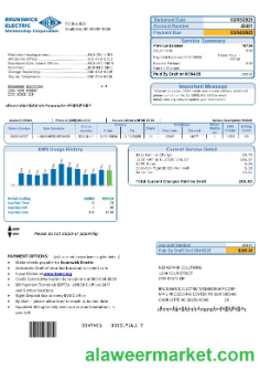 USA North Carolina Brunswick Electric business utility bill template in Word and PDF formats